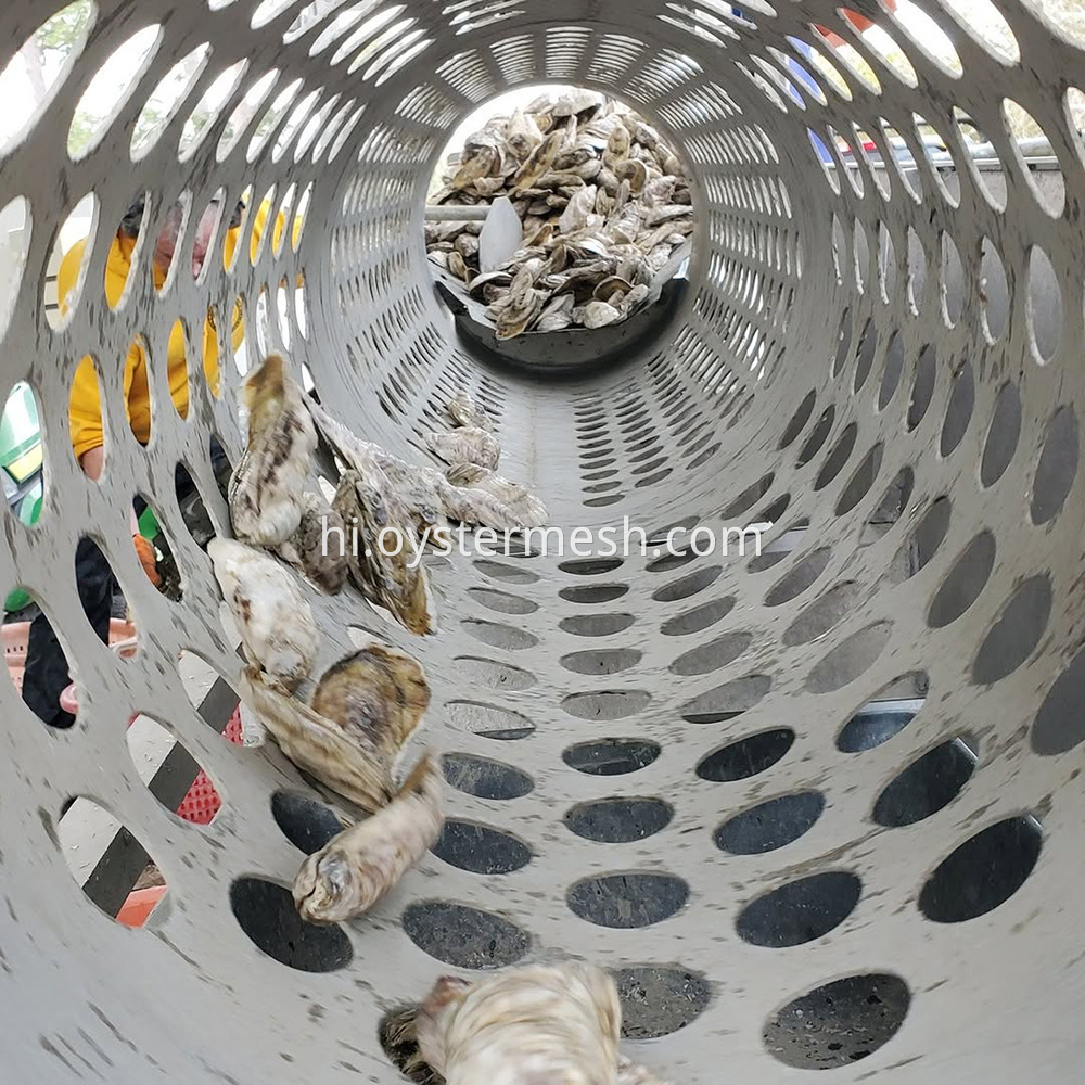 rolling design of oyster sorting machine (1)